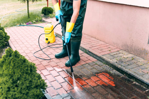 Best Graffiti Removal  in Barrackville, WV